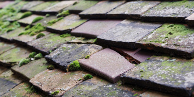 Lowdham roof repair costs